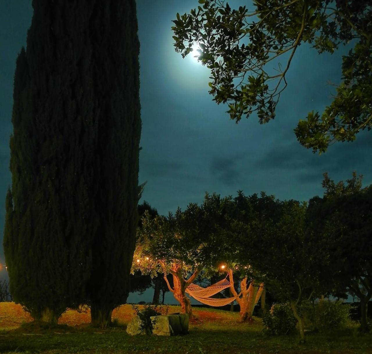 Villa Torto Monopoli Εξωτερικό φωτογραφία